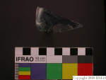 L_V23d3838 J4q223.1 U901 dM la f80